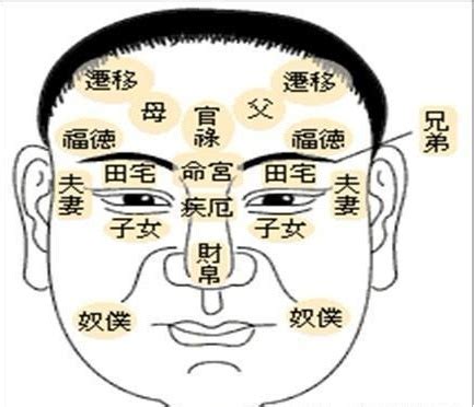 陰騭紋|告訴你什麼是陰騭紋、陰德紋－－學佛網